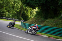 cadwell-no-limits-trackday;cadwell-park;cadwell-park-photographs;cadwell-trackday-photographs;enduro-digital-images;event-digital-images;eventdigitalimages;no-limits-trackdays;peter-wileman-photography;racing-digital-images;trackday-digital-images;trackday-photos